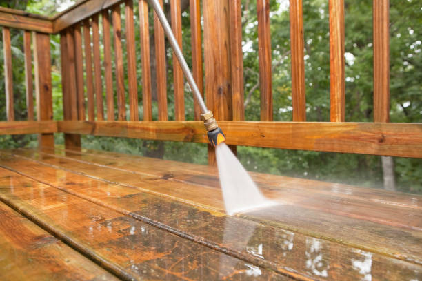 Best Driveway Pressure Washing  in Woodlyn, PA